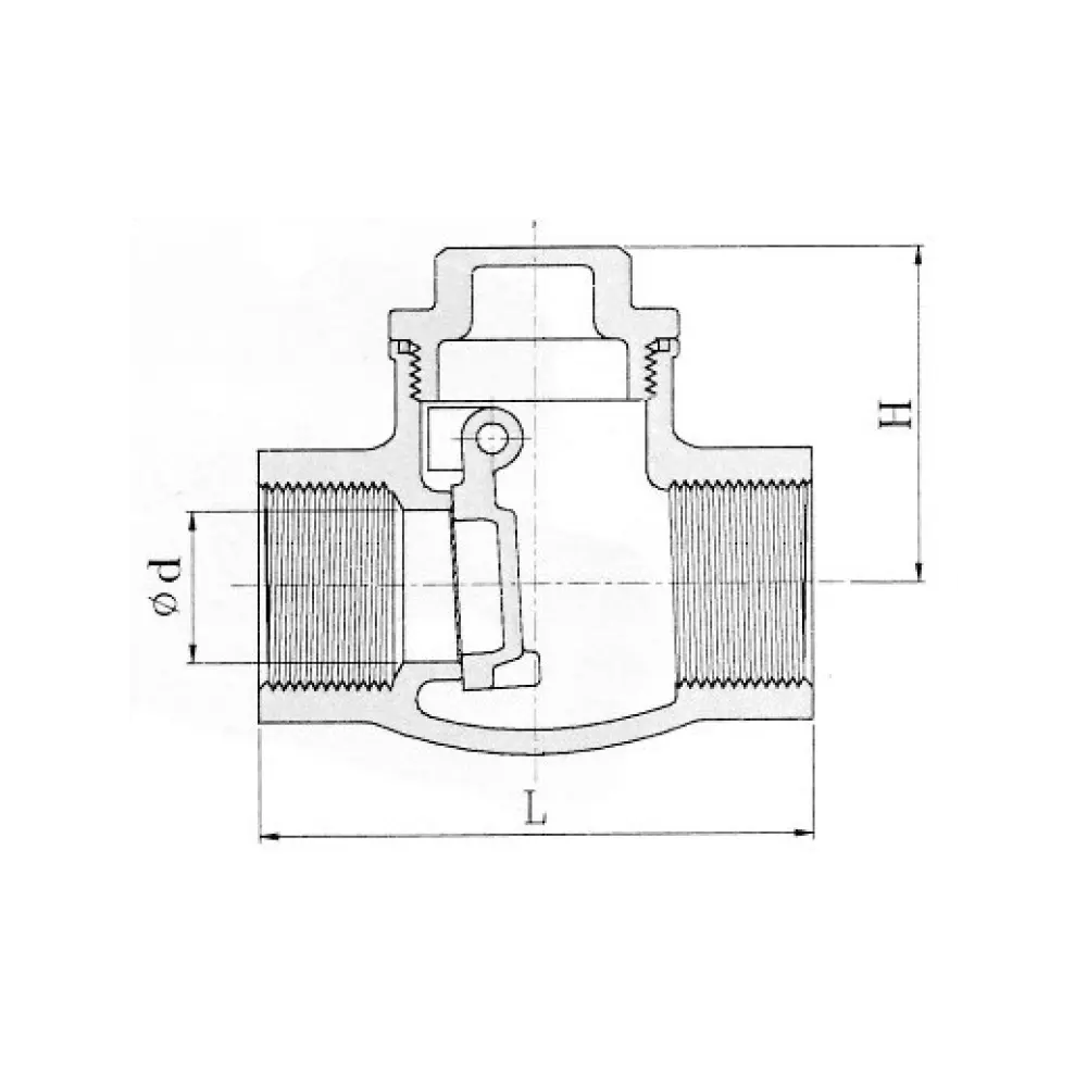 захлопка невозвратная муфтовая DN G 2 PN 16