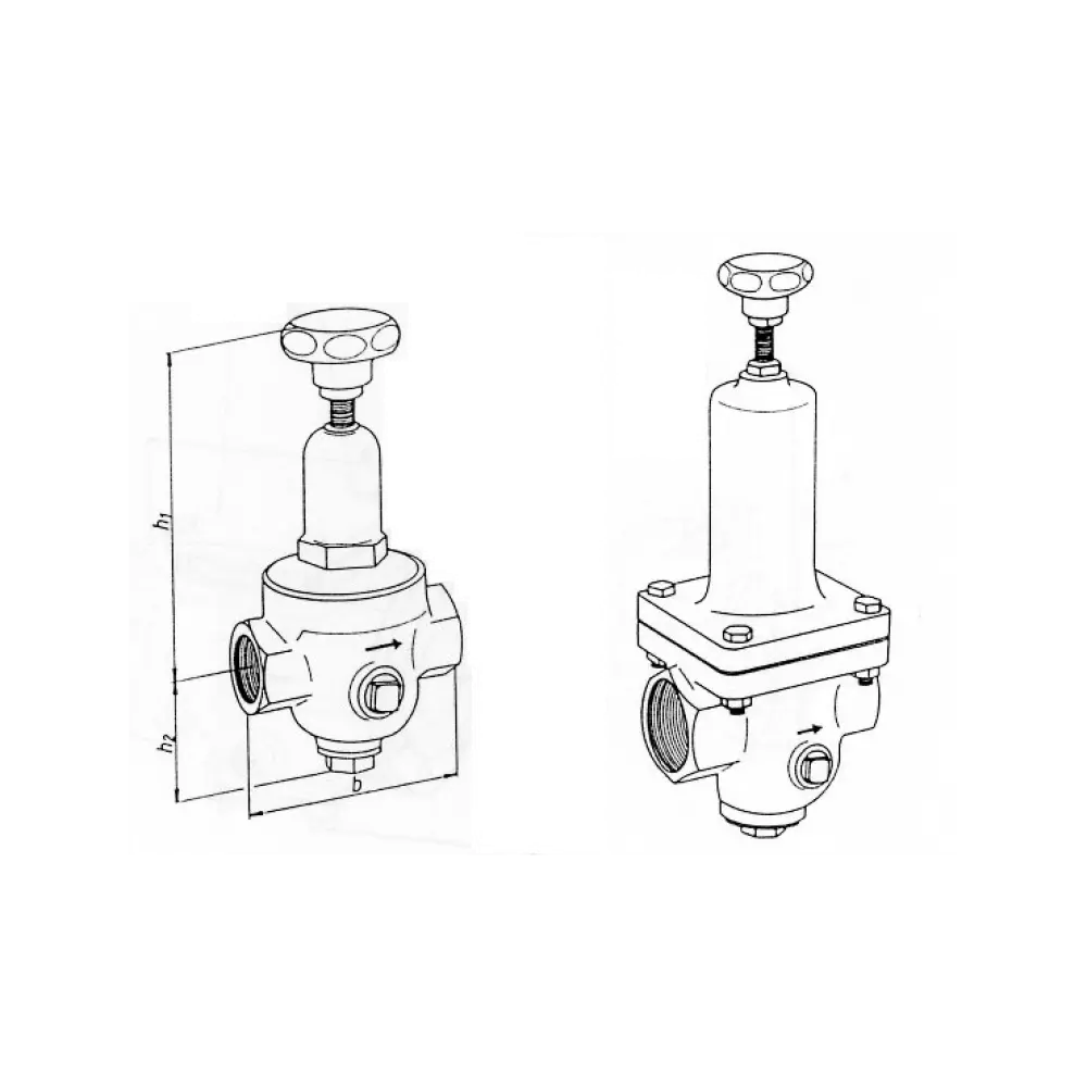 клапан редукционный муфтовый DN G 2 PN 40