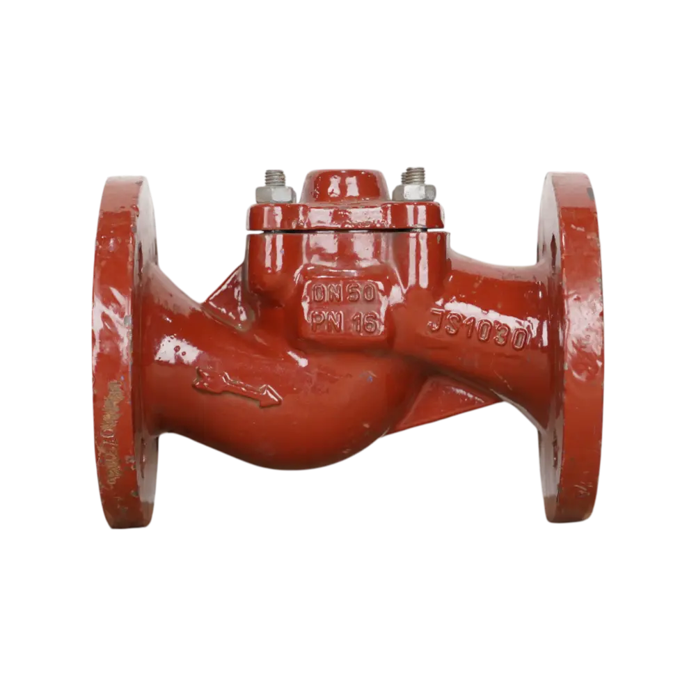 клапан невозвратный фланцевый импортный DN 50 PN 16
