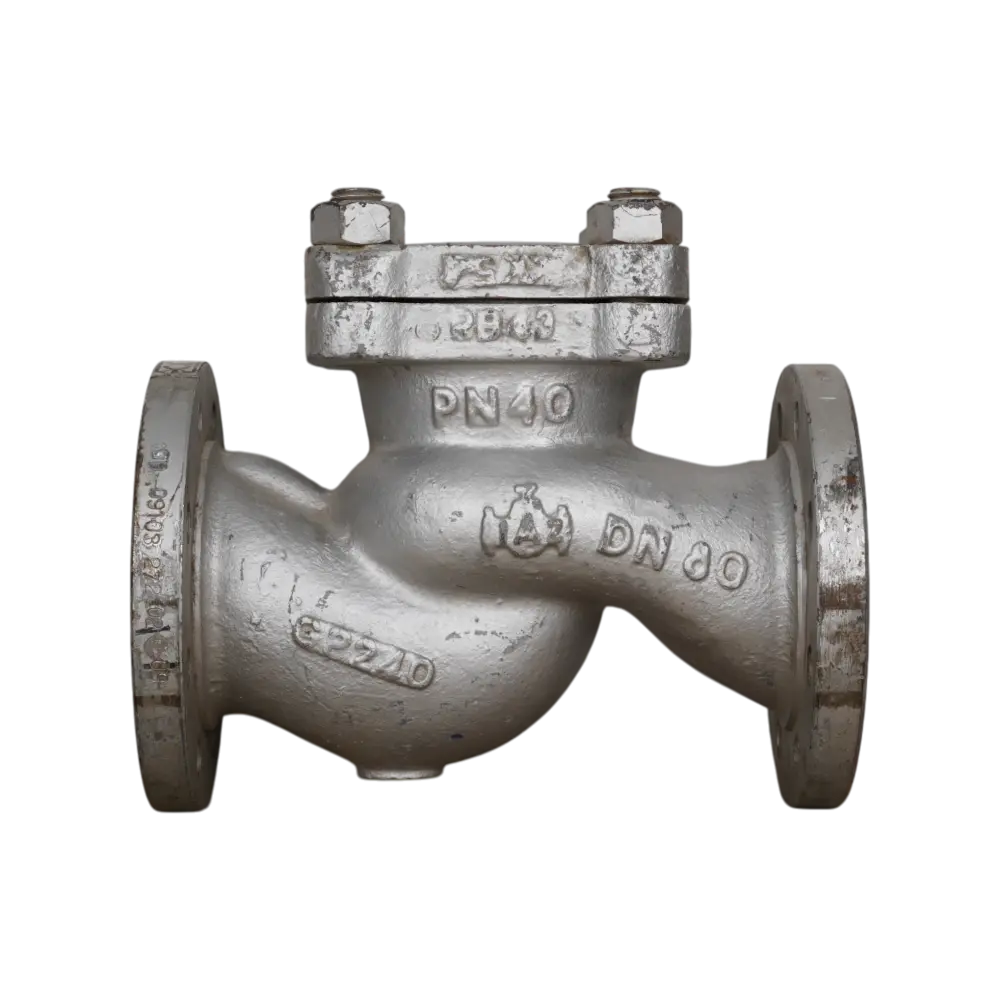 клапан невозвратный фланцевый IAZ импортный DN 80 PN 40